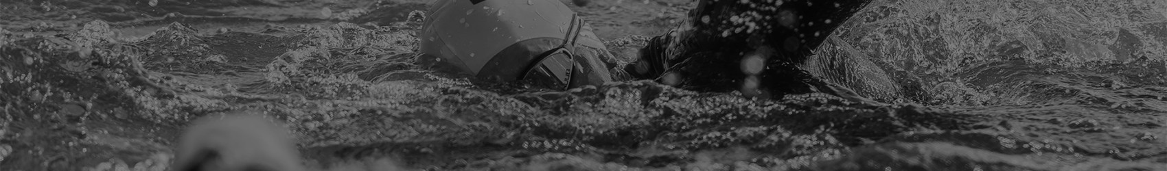 Филип Ивов cover