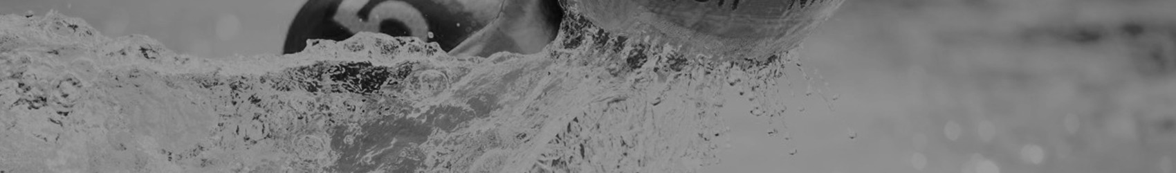 Сергей Караджов cover